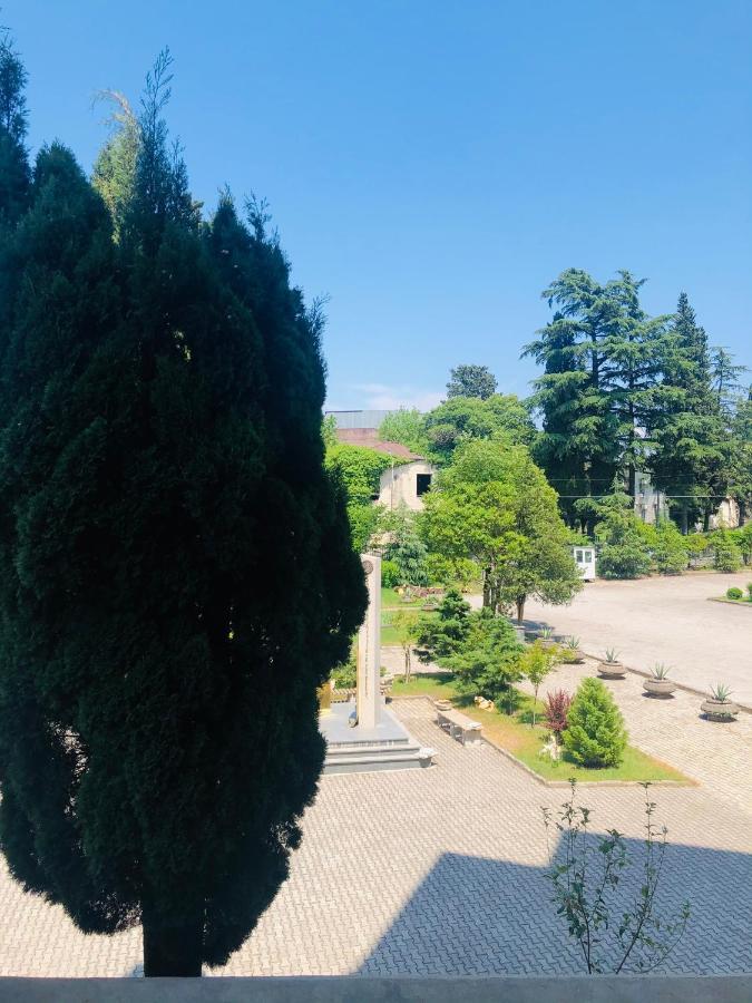 Apartament Wellconect Kutaisi Zewnętrze zdjęcie